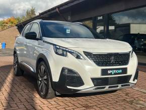 PEUGEOT 3008 2019 (19) at Struans Perth